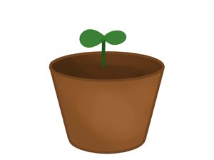 日陰でもきれいに咲くインパチェンスの育て方と増やし方!2