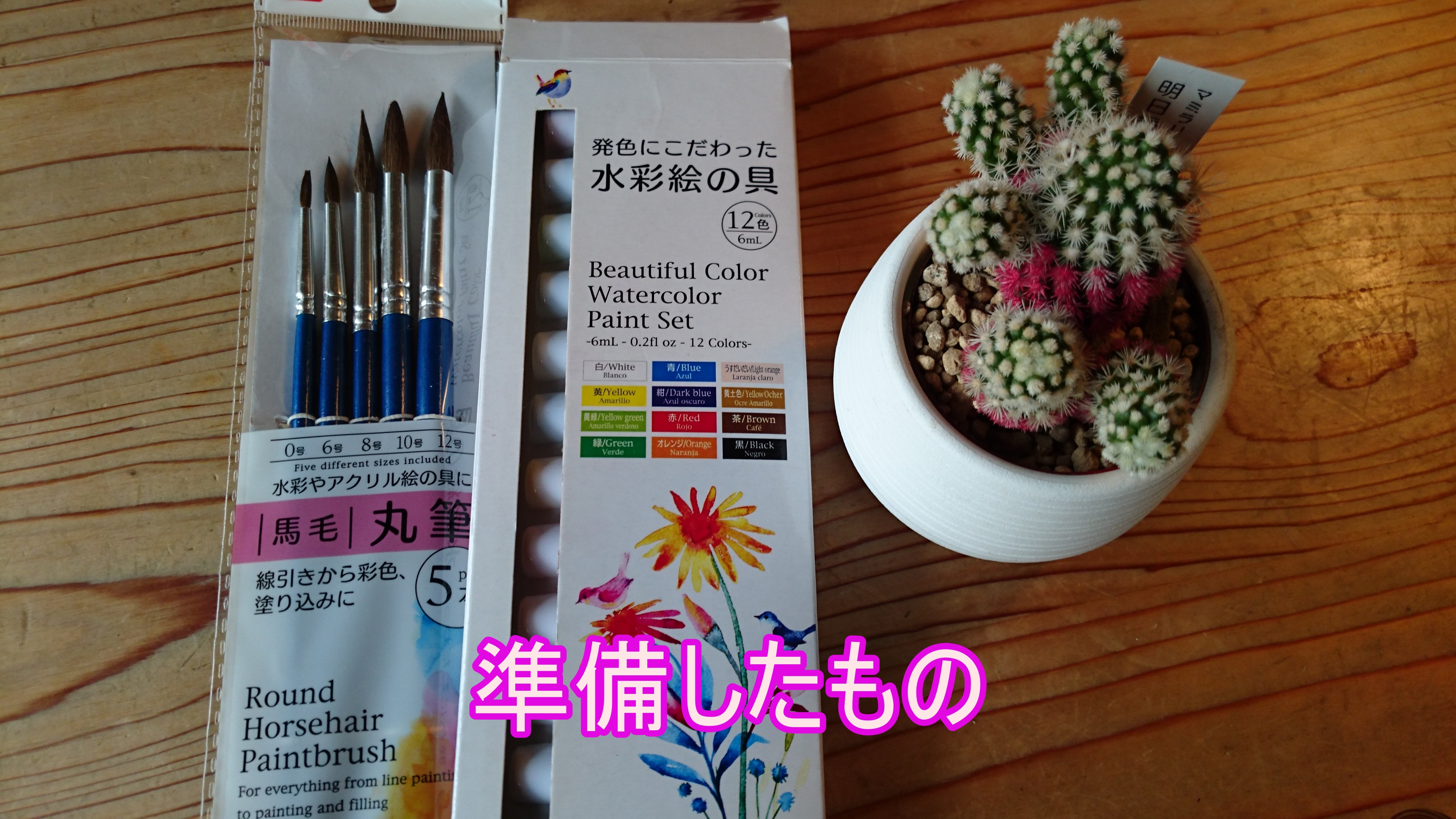 マミラリア 明日香姫 の育成方法 棘の着色はできる その方法も