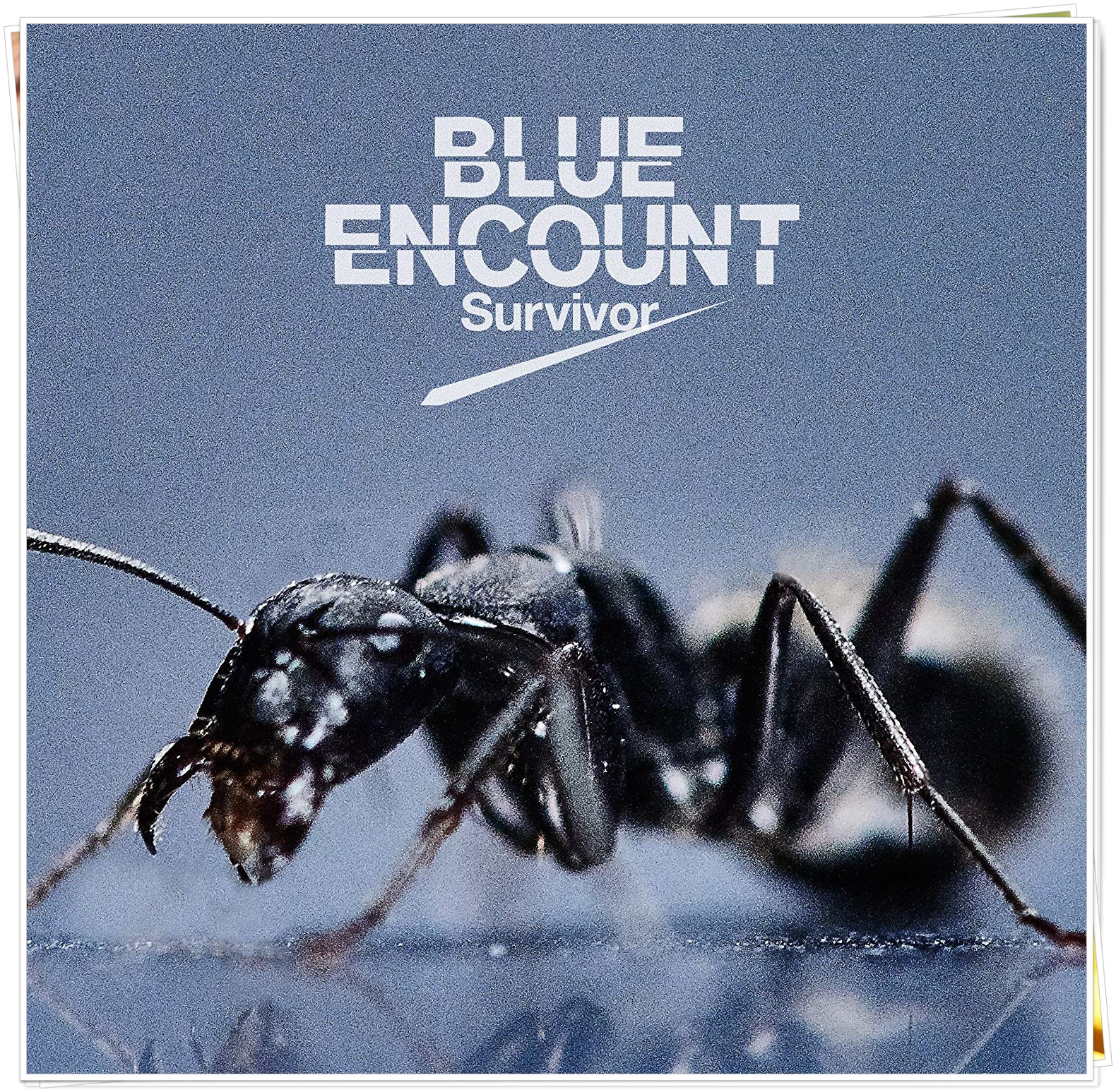 Blue Encountの魅力と有名曲や歌詞を紹介 バンド名の由来と意味は