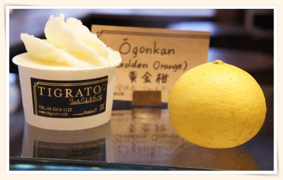 TIGRATOティグラートほうじ茶ジェラートはネット通販できる?価格や口コミは?2
