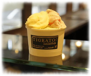 TIGRATOティグラートほうじ茶ジェラートはネット通販できる?価格や口コミは?3