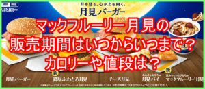 マックフルーリー月見の販売期間はいつからいつまで?カロリーや値段は?8