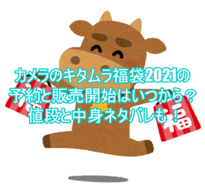 カメラのキタムラ福袋2021の予約と販売開始はいつから?値段と中身ネタバレも!5