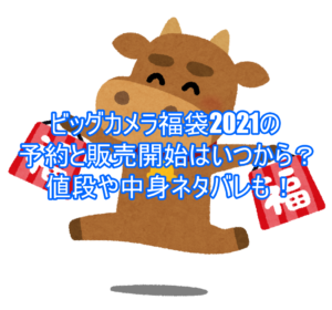 ビッグカメラ福袋2021の予約と販売開始はいつから?値段や中身ネタバレも!6